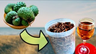 How To Make Simple Soursop Tea At Home - Rural Life Gardening