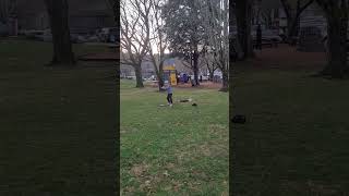 Practicing Baseball with Skilz. I got a nice hit