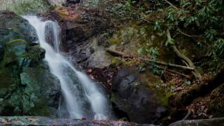 Discover The Great Smoky Mountains 4K #SmokyMountainStrong