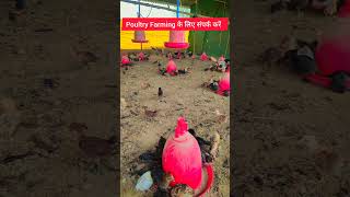 Poultry Farming के लिए संपर्क करें #sonalimurgipalan #poultryfarming