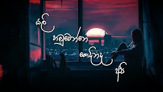 Yali Hamuwenne Kedinada Api (යලි හමුවෙන්නේ කෙදිනද අපි) by Piyath Rajapaksha - Lyric Video