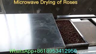 2023How To Dry Rose Flower/Continuous Tunnel Rose Flower Drying Microwave Sterilizing Equipment