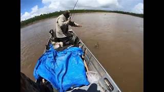 PESCA DE BAGRES EN PUERTO GRETHER...TEMPORADA DE LLUVIA DIA ACCIDENTADO