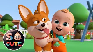 Bingo Dog Song - Nursery Rhymes & Kids Songs