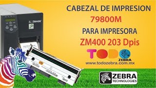 Cabezal de Impresion ZEBRA para ZM400 203Dpis 79800M