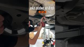 BẢO DƯỠNG Ô TÔ CẤP LỚN  #procar #baoduongoto