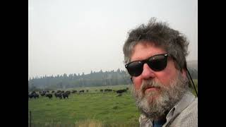 BUFFALO NEAR THE FENCE!  TATANKA!  WESTERN MONTANA!