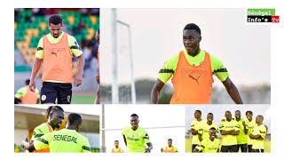 TANIÉRE DE LIONS 🇸🇳🦁 avec les nouveau arrives