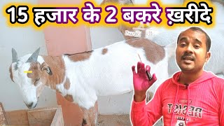 Ye Bakre Kharide |Goat purchased Video|Vimalumrao