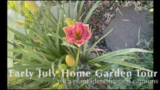 Early July Home Garden Tour