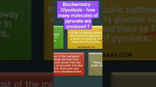 Biochemistry - Glycolysis - how many molecules of pyruvate are produced by glycolysis?