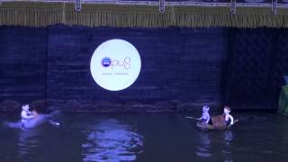 Water Puppet Show 2