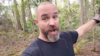 Florida Homesteading Clearing Our Future Home Site #diy #family #homestead #house #fun #garden #vlog