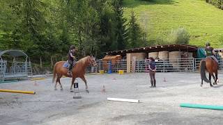 Horse riding lessons in Leysin