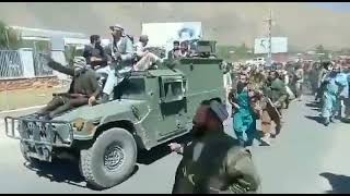 panjshir:large number of panjshir military fighters surrendered to taliban Afghanistan