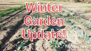 Winter GARDEN update 2023