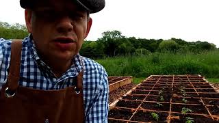 Raised Beds Are Almost Fully Planted