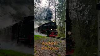 Ausfahrt Alexisbad Richtung Harzgerode HSB Harzer Schmalspurbahn