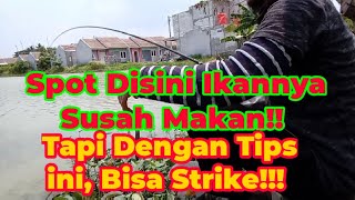 Tips Pemancing Jika Ikan Susah Makan!!