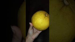 Guess the fruit 😳#shortsfeed #youtubeshorts #shorts #shortvideo #viralvideo #food #foryou