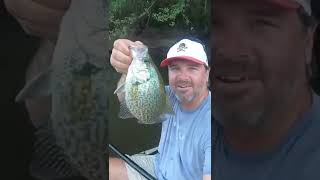 Crappie kayak CATCH CLEAN AND COOK #catchcleancook #kayakfishing #crappiefishing