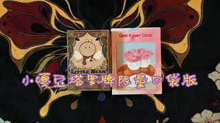 【喜欢的两副小牌开箱】正版小嘎豆BEAN限量口袋版和印刷版怪客GEEK基博卡开箱分享