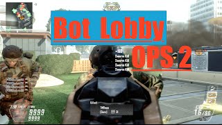 How To Join A Bot Lobby In Black Ops 2 (BLACK OPS 2 GLITCH)