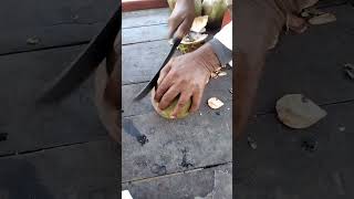 Amazing Coconut Cutting Skills 🥥 #shorts #streetfood #coconut