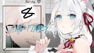 {Head First}//Siesta Edit//Capcut's new transition