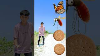 Titli, machhar, Makkhi & Bichhoo insects names🐞🦂 #trending #shorts