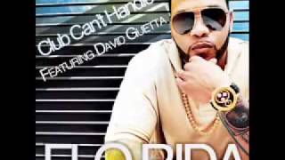 Flo Rida feat. David Guetta  Club Can't Handle Me