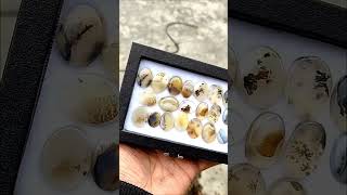 Real mossagate stone | how to test agate stone | white agate | famous agate stones | old agate