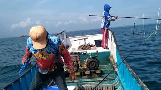 mancing baronang di bagan rusak isinya baronang angin babon