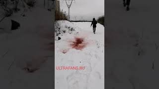 ULTRAFANS.RU ГРАНАТА С КРАСКОЙ ДЛЯ СТРАЙКБОЛА