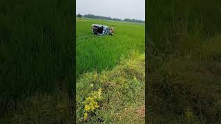 जब फॉर्च्यूनर गाड़ी गया खेत में #Funny #Shorts #Viral #Video #Toyota #Fortuner 4×4 #Reels #Farmer