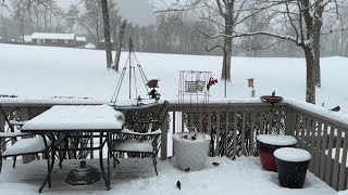 Feeding the Birds Crossville Tennessee