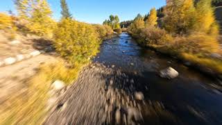 FPV Over the Blue River | 4K