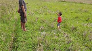 Balita Menikmati Suasana Sawah di Desa