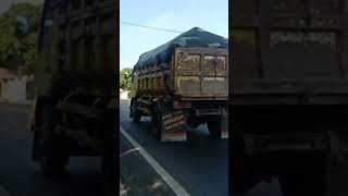 BUS TUNGGAL JAYA BENTAS CETAR MEMBASURI 🐍