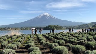 Part1 Vacation Day In Yamanashi Fuji Japan |Eli Kato Vlogs #japanvlog #mountfuji