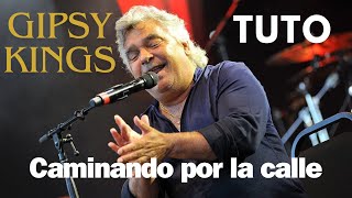 Découvre la passe d'accords de Caminando por la calle des Gipsy Kings