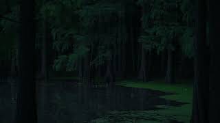 Thunderstorm in the Swamp Ambience - 1 hour Frogs, Crickets and Rain Sound for Sleep