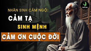 Cảm tạ sinh mệnh, cảm ơn cuộc đời | Triết lý hay thay đổi cuộc đời