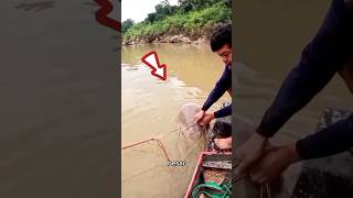 ORANG INI MENDAPATKAN IKAN YANG SANGAT BESAR #shorts