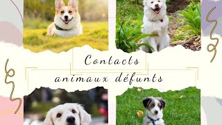 contacts animaux défunts