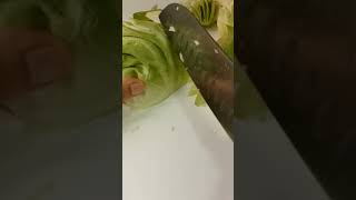 ASMR SOUND Cabbage Cutting #amazingcutting #trendingshorts #satisfyingcutting #cabbage #shorts