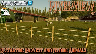 FS22 - Riverview  - Restarting Harvest and Feeding Animals - #97