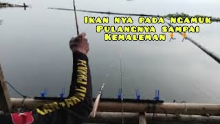 mancing terbaru cirata/pulang nya sampe kemaleman