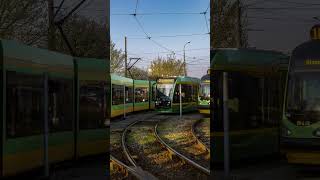 MPK News 6 (Na Dębiec tylko jedną linią tramwajową?)