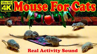 10 Hours of Mouse for Cats: Mice in the Jerry Hole | Cat Games in 4K UHD